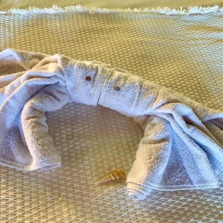 Pousada Encontro Das Ilhas イリャベラ エクステリア 写真